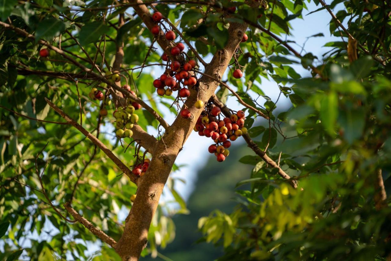Tan Dinh Farmstay 宁平 外观 照片