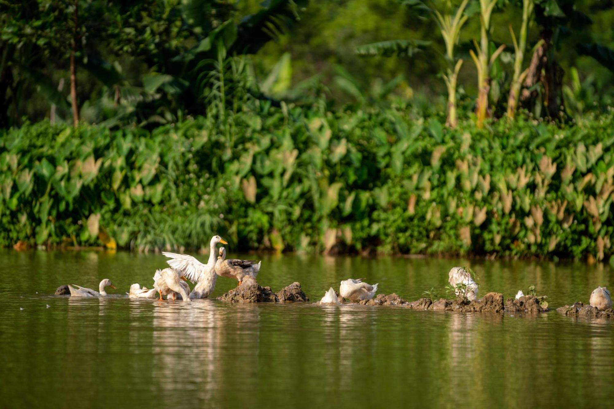 Tan Dinh Farmstay 宁平 外观 照片
